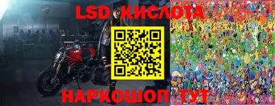 шишки Будённовск