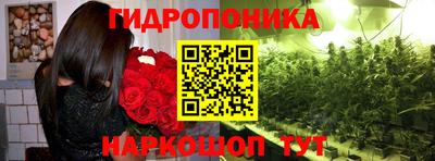 a pvp Бугуруслан