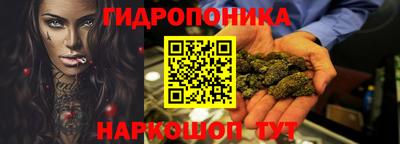 шишки Будённовск
