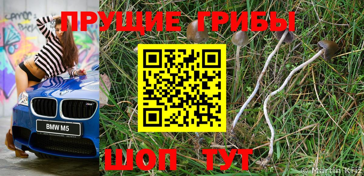 Галлюциногенные грибы Psilocybine cubensis  Вход с VPN  Нурлат 