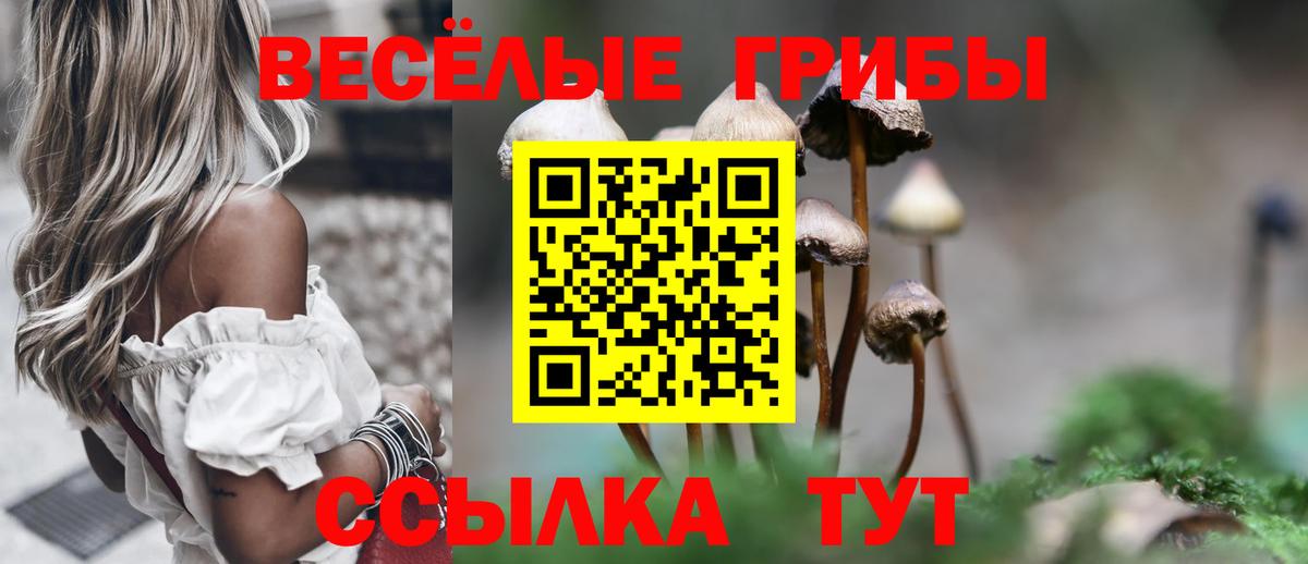 Псилоцибиновые грибы мицелий Нурлат
